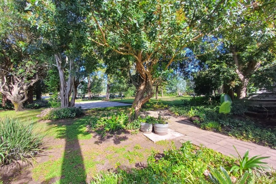 Commercial Property for Sale in Roodefontein AH Western Cape